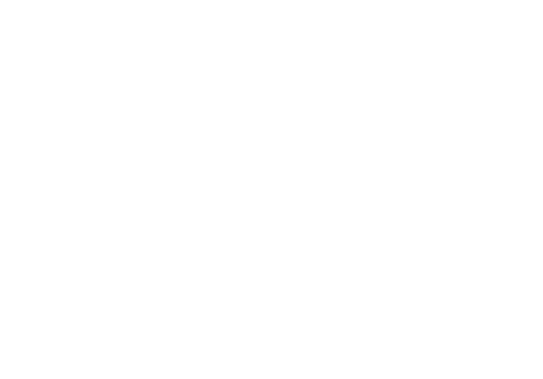 Pleiadian Brewing Co.