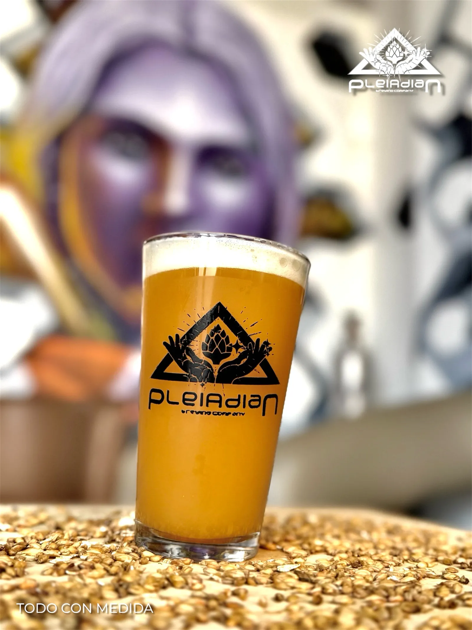 Cerveza Pleiadian en vaso sobre grano de malta